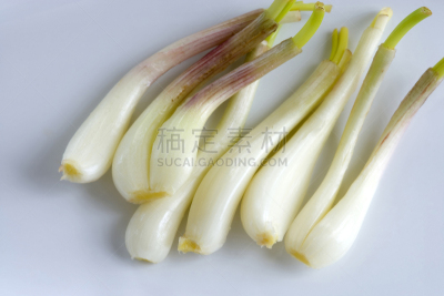 洋葱,石垣岛,无人,蔬菜,食品,图像,水平画幅,冲绳县,摄影