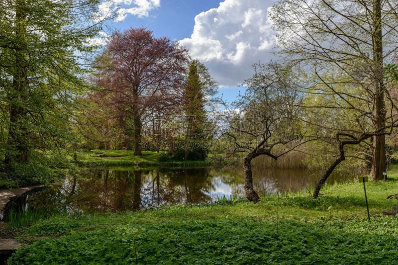 additional keywords: treptow, baumschulenweg, franz späth, koellnische heide, humboldt, nature in the city