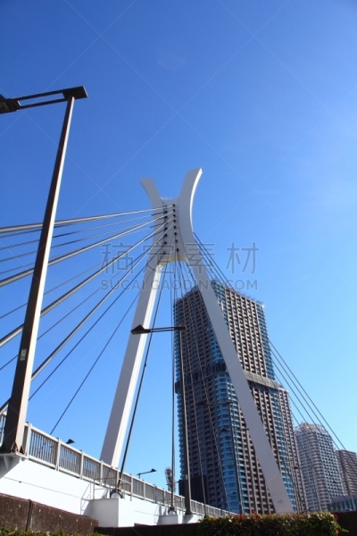 东京,桥,中央区,垂直画幅,天空,户外,居住区,都市风景,river sumida,著名景点