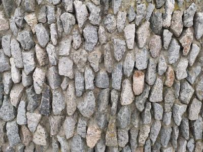 灰色,石墙,纹理,古老的,褐色,式样,砖,平视角,已灭绝生物,三叶虫