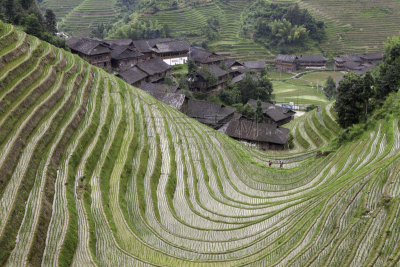 瑶族,乡村,龙胜,龙脊梯田,桂林,农业,国内著名景点,篮子,当地著名景点,东亚人