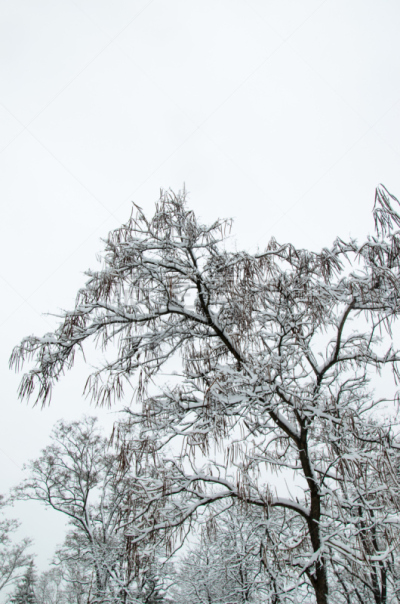 冬天,公园,雪茄,垂直画幅,新的,休闲活动,雪,古老的,明亮