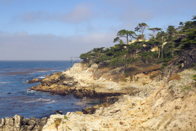 房屋,海洋,大果柏树,coastal cypress,蒙特里湾,卡麦尔,蒙特利半岛,水,天空,留白
