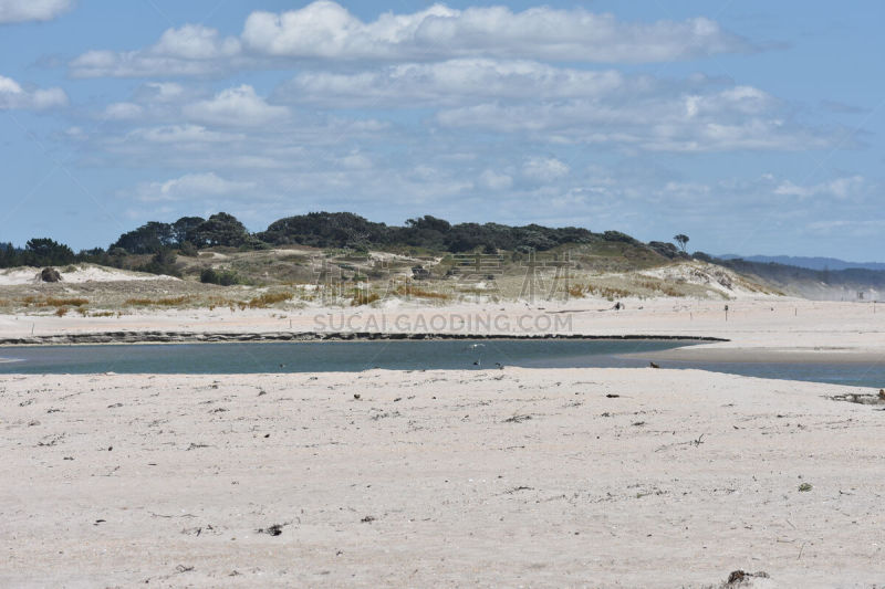 Pakiri Beach.