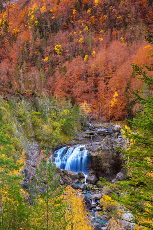 韦斯卡,宝丽丝山脉,瀑布,山谷,特拉华,ordesa national park,阿拉贡,垂直画幅,水,枝繁叶茂