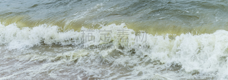 赤潮,海洋,浮游生物繁殖,浮游生物,水,美,水平画幅,睡莲,沙子