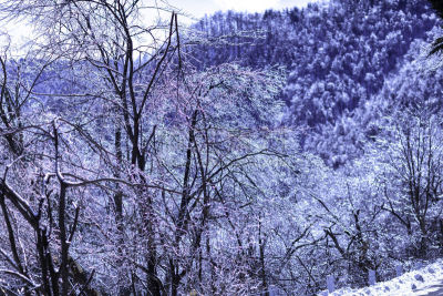 冬天,雪,日本,安静,云,深雪,木制,晴朗,长野城,白色
