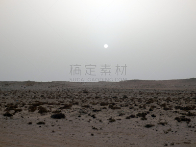 western sahara,地形,干热气候,西撒哈拉沙漠,达禾赖绿洲,热,空的,摩洛哥,沙漠,岩石