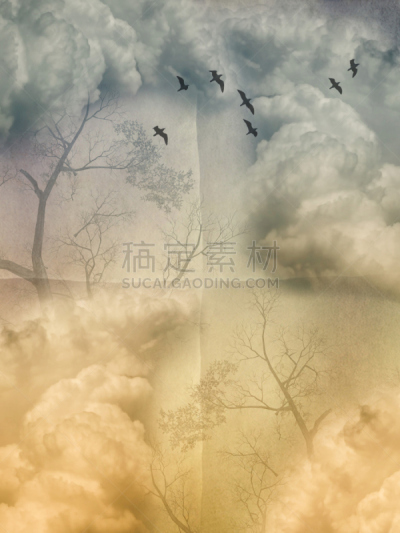 地形,纸,垂直画幅,天空,美,公主,美人,鸟类,户外,星星