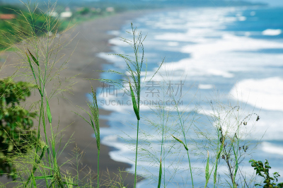 草,海滩,运动模糊,熔岩,背景,黑色,水,水平画幅,沙子,无人