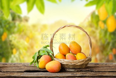 叶子,背景,芒果树,热带气候,泰国,果汁,熟的,堆,农场,植物