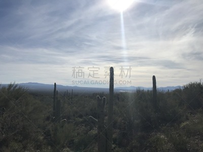 沙漠,自然,空的,西南方向,环境,图像,天气,图森市,仙人掌,美国