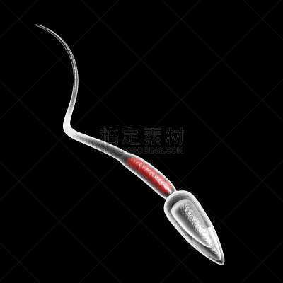 精子,生物科技,枝繁叶茂,超现实主义的,科学,生物学,男性,阶调图片,技术,成年的
