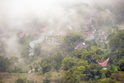 乡村,特拉加,雾,传统,北,早晨,苏格兰高地,自然,黄色,红色