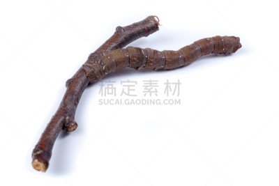尺蠖,蛾,遮罩,老鼠,复叶,自然,无脊椎动物,野生动物,水平画幅,蝴蝶