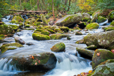 river roaring fork,格托林伯格,田纳西,瀑布,美国,小河,阿巴拉契亚山脉,自然,水平画幅