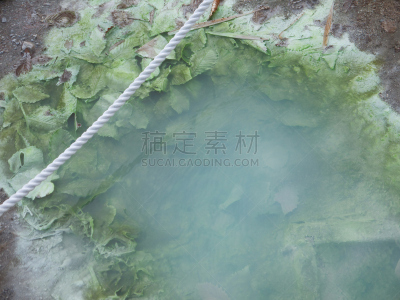 温泉,叶子,秋天,藻青菌,枥木县,间歇泉,水,水平画幅,绿色,无人