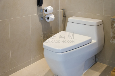 抽水马桶,卫生间,水,新的,座位,水平画幅,无人,浴室,房屋,干净