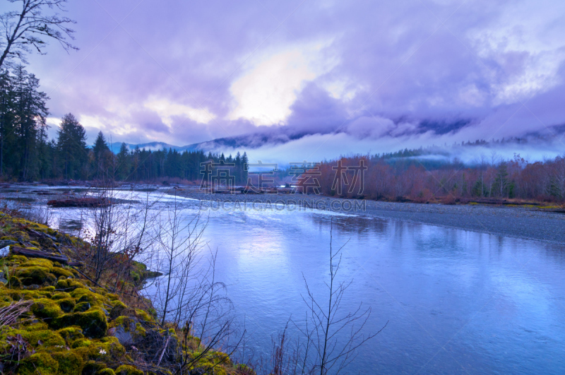 quinault rainforest,奥林匹克山脉,水平画幅,岩石,无人,户外,雨林,奥林匹克山,风景,国内著名景点