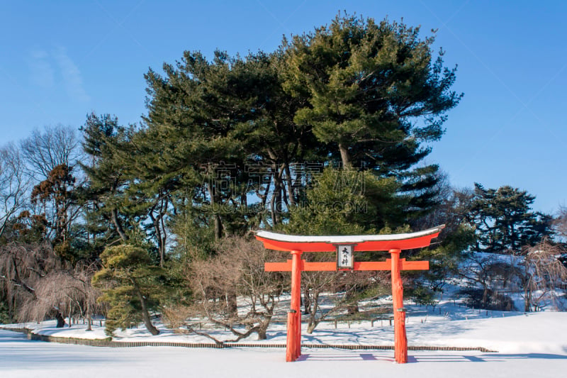 山,日本,布鲁克林,纽约,池塘,园林,公园,松树,美国,水平画幅