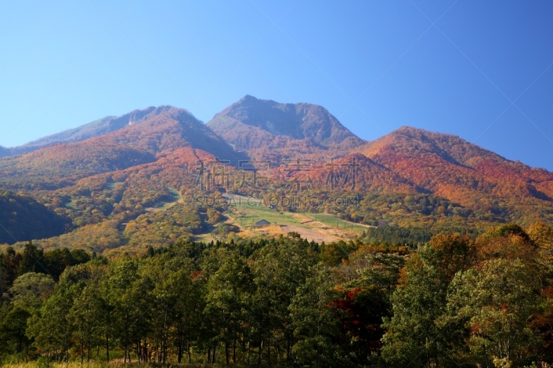 山,秋天,妙高,天空,里山,水平画幅,林区,无人,火山地形,户外