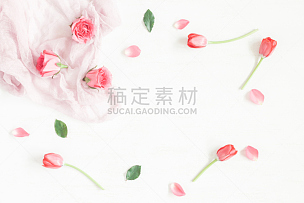 边框,郁金香,玫瑰,仅一朵花,平铺,视角,顶部,留白,水平画幅,高视角