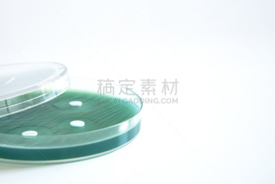 医学检测,皮氏培养皿,弱点,绿脓杆菌,生物学,传媒,微生物学,健康保健,背景分离