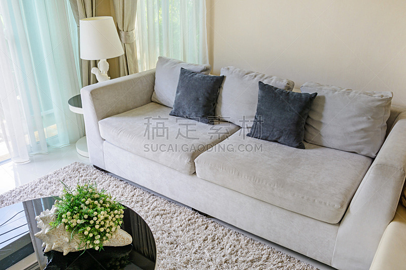 沙发,起居室,枕头,水平画幅,无人,地毯,家具,现代,白色,窗帘