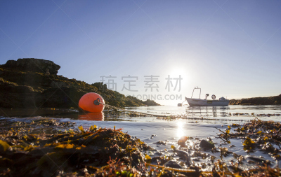 威尔士,海港,英国,船,安格,毕欧马利斯城,南斯达克灯塔,格温内思郡,爱尔兰海,淡水木兰植物