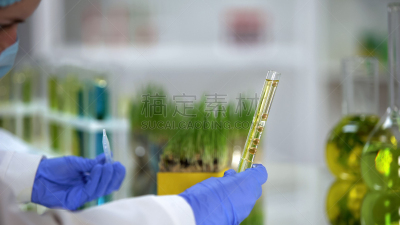 工业,环境,液体,装管,生物燃料,草药,化学家,房室传导系统,科学家