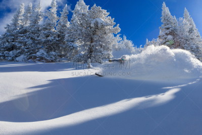 粉末状雪,白昼,塔夷,冬季运动,水平画幅,怀俄明,滑雪运动,人,户外,冬天
