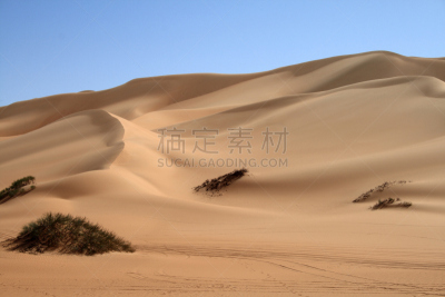 沙丘,撒哈拉沙漠,水平画幅,沙子,无人,非洲,户外,干的,乌巴里区域