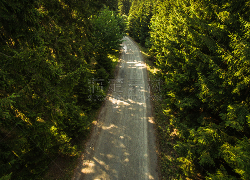 航拍视角,森林,路,格托林伯格,clingman's dome,针叶林,水平画幅,山,无人,夏天