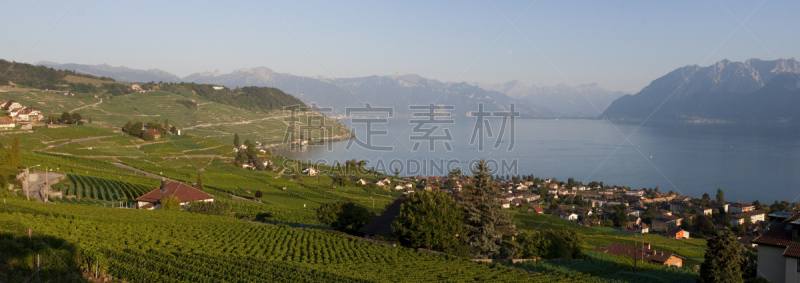 日内瓦湖,全景,夏天,黄昏,葡萄园,在上面,密迪齿峰,自然,天空,水平画幅