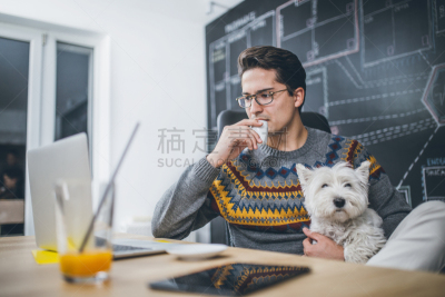 狗,男人,拿着,办公室,智慧,果汁,男商人,现代,信心,技术