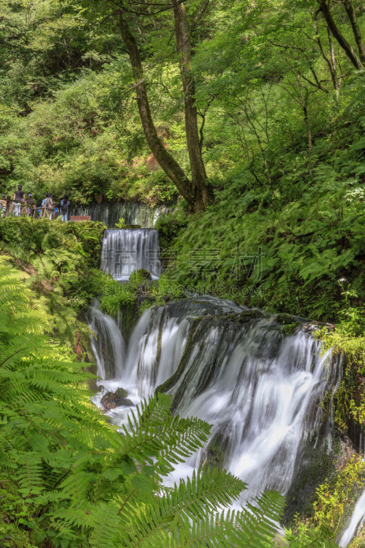 夏天,轻井泽町,shiraito falls,垂直画幅,水,云,瀑布,长野县,无人,早晨