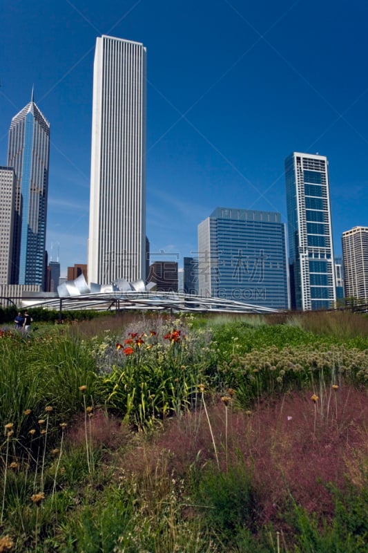 公园,千禧年,aon center,芝加哥千禧公园,威利斯大厦,芝加哥鲁普商业区,密西根大道,垂直画幅,办公室,无人