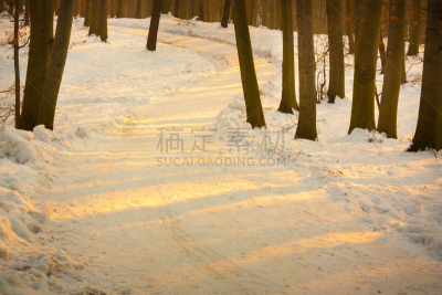 路,森林,雷恩郡,冰原大道,西部乡村乐,主干路,公园,水平画幅,德国高速列车,雪