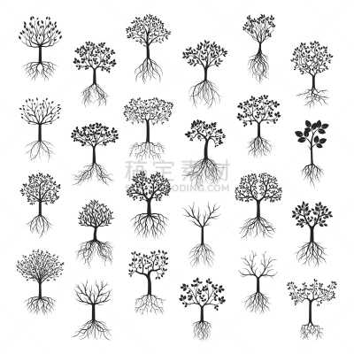 形状,绘画插图,矢量,黑色,根部,无人,夏天,户外,生物学,白色