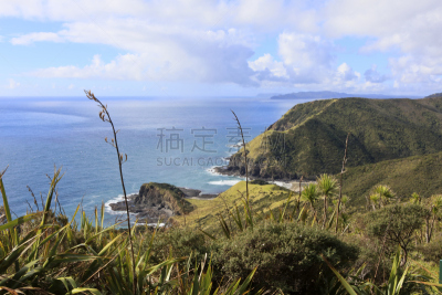 新西兰,cape reinga,海滩,水平画幅,沙子,沙丘,无人,户外,海洋,摄影