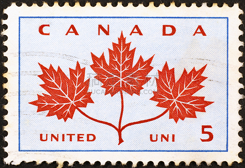 加拿大,枫叶,三个物体,自然,红色,水平画幅,无人,枫树,叶子