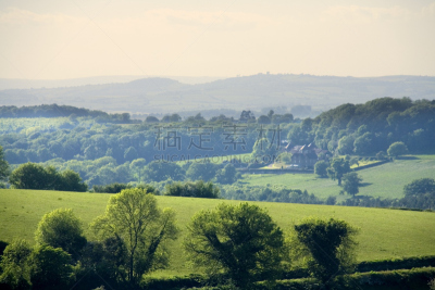 forest of dean,英国,格洛斯特郡,美,公园,水平画幅,枝繁叶茂,无人,英格兰,户外