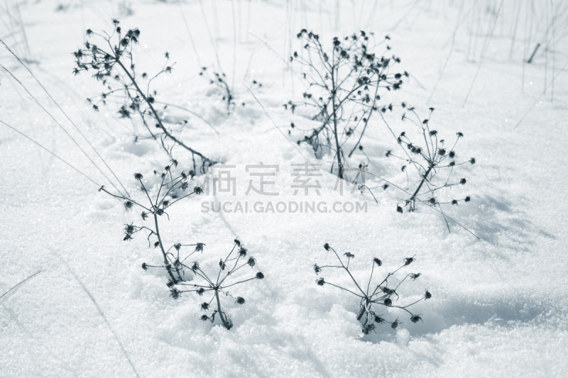 干的,冬天,季节,雪堆,美,水平画幅,雪,无人,阴影,户外