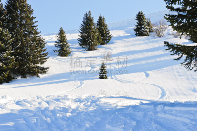 滑雪痕,雪,速降滑雪,森林,morzine,阿沃里阿兹,度假胜地,水平画幅,山,滑雪坡