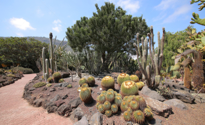 Jardín Botánico Viera y Clavijo, Las Palmas, Gran Canaria