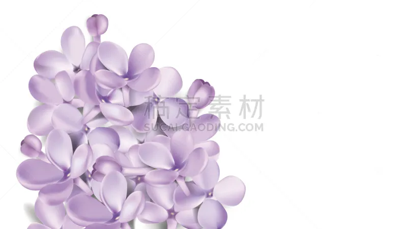 丁香花 背景 淡雅 紫色丁香 玫瑰色的 熏衣草 贺卡 留白 水平画幅 无人图片素材下载 稿定素材 丁香花 背景 淡雅 紫色丁香 玫瑰色的 熏衣草 贺卡 留白 水平画幅 无人图片素材下载 稿定素材