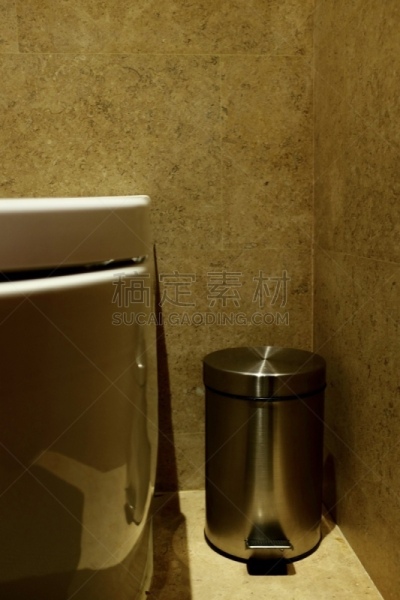 华贵,抽水马桶,浴室,冲洗厕所,地板,卫生间,卷纸架,现代,设备用品,住宅内部