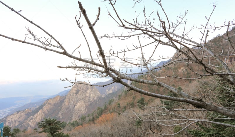 雪岳山,国家公园,褐色,风,水平画幅,户外,山,清新,国内著名景点,精神振作