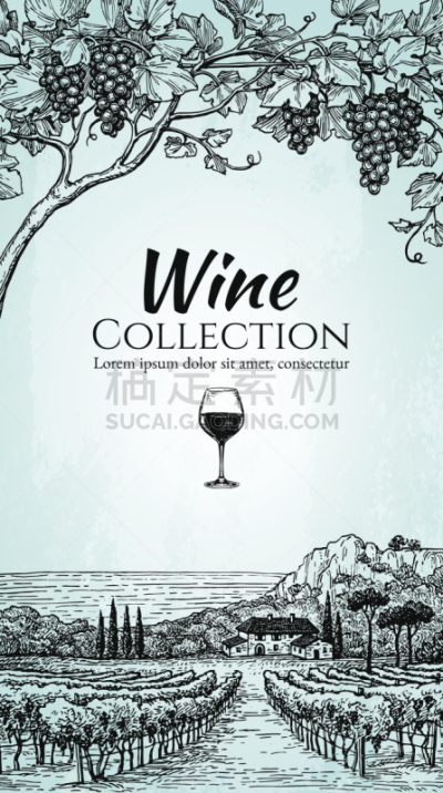 葡萄酒,模板,清单,普罗旺斯,葡萄园,有蔓植物,蒸馏酒厂,垂直画幅,菜单,法国