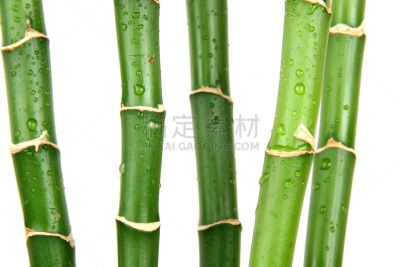 竹子,风水,水,禅宗,气候,水平画幅,无人,湿,生物学,植物